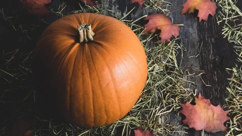 Decorative orange pumpkin with moving foliage Stock Footage 120173398