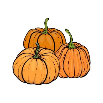 Decorative orange pumpkins. Hand drawn sketch vector autumn illustration. Tha Stock Illustration