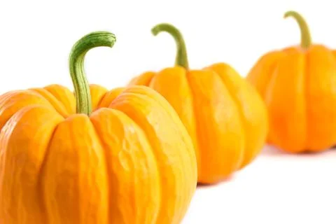 Decorative orange pumpkins Fotos de archivo