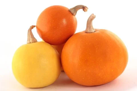 Decorative orange pumpkins 스톡 사진