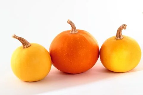 Decorative orange pumpkins Stock Photos