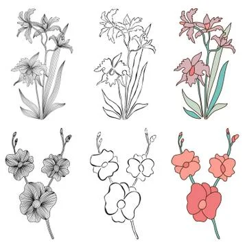 Decorative orchids Stock Illustration