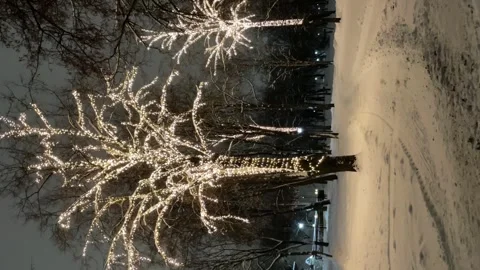 Decorative outdoor string lights Stock Footage 258597842