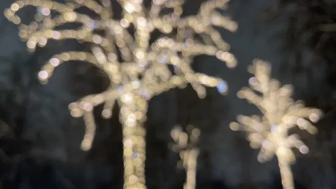 Decorative outdoor string lights Stock Footage 258598546