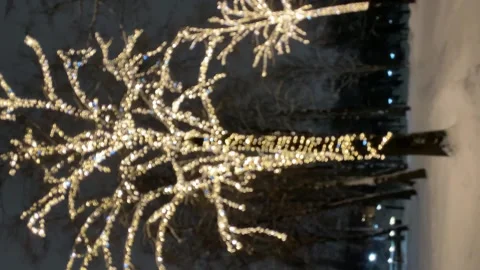 Decorative outdoor string lights Stock Footage 258599025