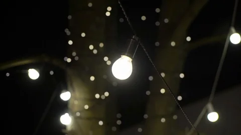 Decorative outdoor string lights hanging on tree in the garden at night time Video stock 98243336