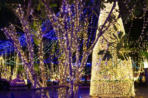 Decorative outdoor string lights hanging on tree in the garden at night time 库存照片