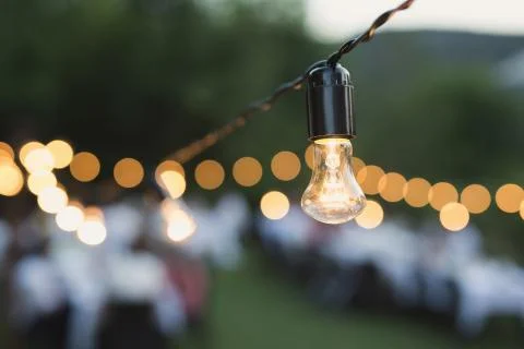 Decorative outdoor string lights hanging on a tree in the garden at night. Foto stock