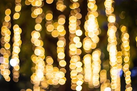 Decorative outdoor string lights hanging on tree in the garden Photos