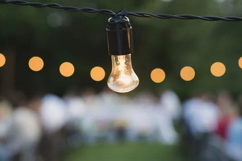 Decorative outdoor string lights hanging on a tree in the garden at night. Foto stock