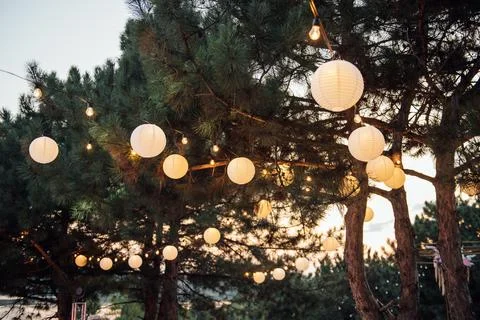 Decorative outdoor string lights hanging on tree in the garden at night time Stock Photos