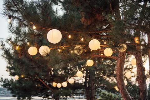 Decorative outdoor string lights hanging on tree in the garden at night time 스톡 사진