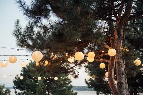 Decorative outdoor string lights hanging on tree in the garden at night time Stock Photos