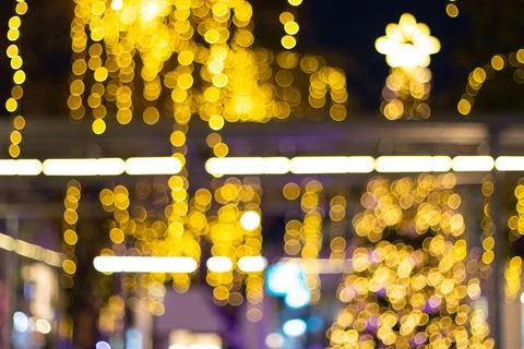 Decorative outdoor string lights hanging on tree in the garden at night time 스톡 사진