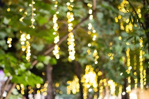 Decorative outdoor string lights hanging on tree in the garden at night time Stock Photos