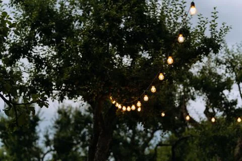 Decorative outdoor string lights hanging on tree in the garden at night time Stock Photos