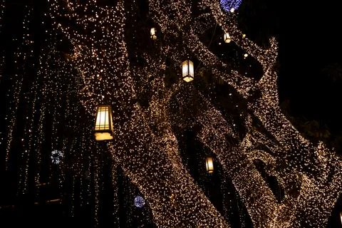 Decorative outdoor string lights hanging on tree in the garden at night tim.. 库存照片