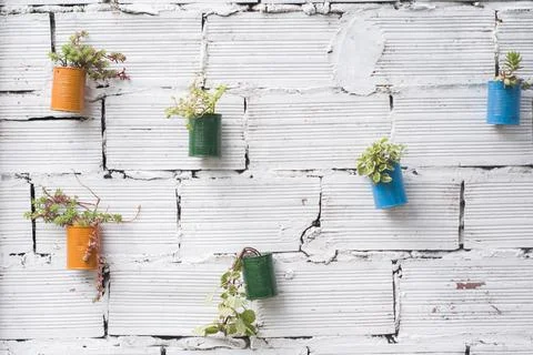 Decorative painted cans with plants Stock Photos