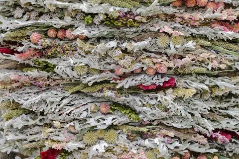 Decorative panel composed of dried wild plants, flowers and lichens Stock Photos