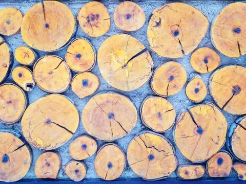 Decorative panel with pattern of round log slices of different sizes Stock Photos