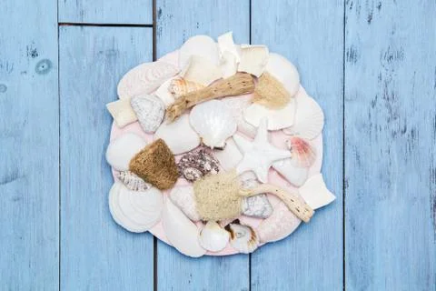Decorative panels of sea shells 库存照片