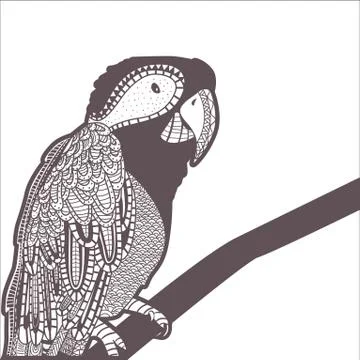Decorative parrot design Illustrazione stock
