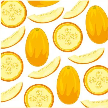 Decorative pattern of the ripe vegetable melon 库存插图