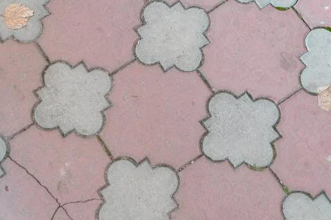 Decorative Pavement Tiles in Geometric Pattern with Leaf Accents Stock Photos