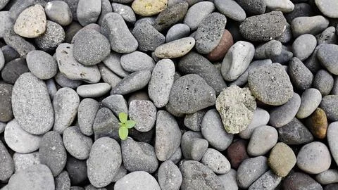 Decorative Pebble stone pattern for 3d texture rendering Stock Photos