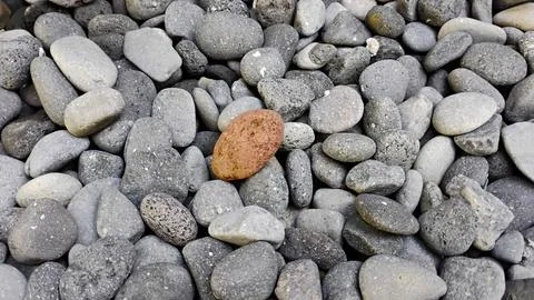 Decorative Pebbles stone pattern for 3d texture rendering Stock Photos