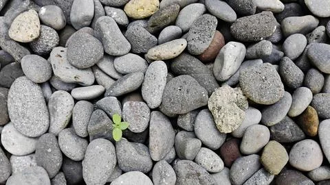 Decorative Pebbles stone pattern for 3d texture rendering Stock Photos