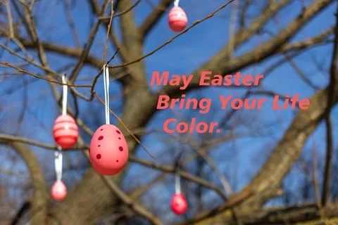 Decorative pink Easter eggs hang from tree branches against blue sky backgr.. Stock Photos
