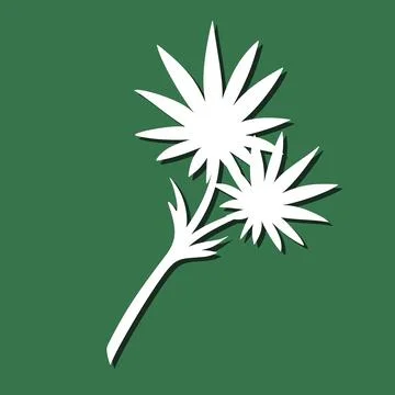 Decorative plant element.  Stock Illustration