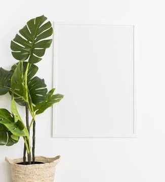 Decorative plant with empty frame Stock Photos