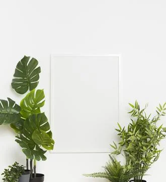 Decorative plant with empty frame Stock Photos