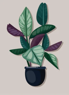 Decorative plant icon colored classical flat sketch Stock Illustration