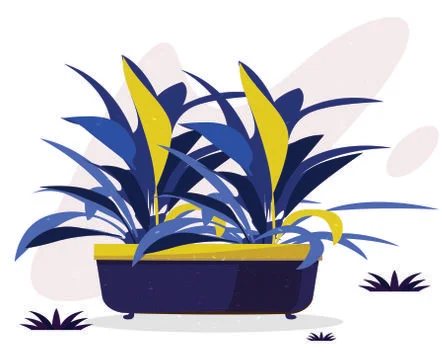 Decorative plant icon colored classical sketch Stock Illustration