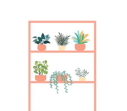 Decorative plants stand on the shelf, a vector graphics Stock Illustration