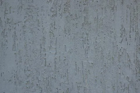 Decorative Plaster Of Type Bark Beetle Stock Photos