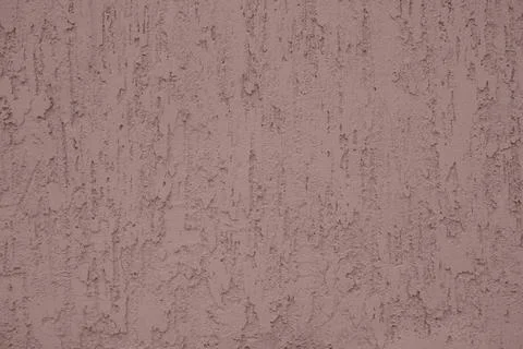 Decorative Plaster Vertical Bark Beetle Stock Photos