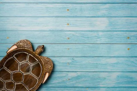 Decorative plate in the shape of a turtle on blue wooden background. Top vi.. Stock Photos