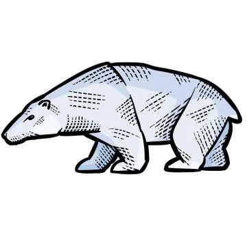 Decorative polar bear painted with patterns for logo, label, packaging, tattoo Stock Illustration