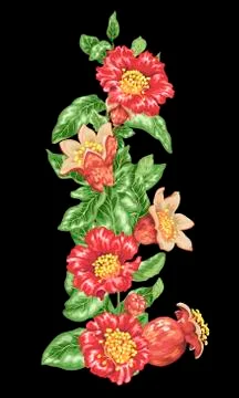 Decorative pomegranate vector graphic element Stock Illustration