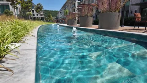 Decorative pool with small fountains in a modern residential garden landscape Stock Footage 340338698