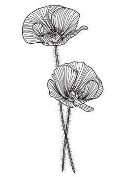 Decorative poppies Illustrazione stock