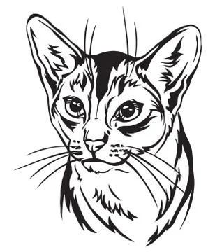 Decorative portrait of Abyssinian Cat vector illustration Stock Illustration