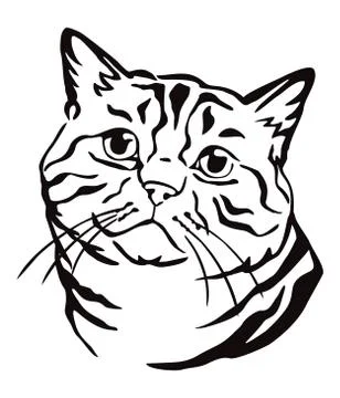 Decorative portrait of Cat,part 2 Stock Illustration