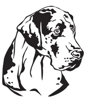 Decorative portrait of Great Dane vector illustration Stock Illustration