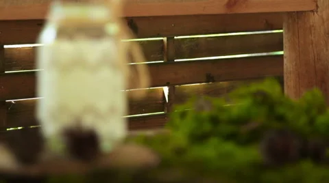 Decorative pot stands on a table decorated with moss Stock Footage 52482981