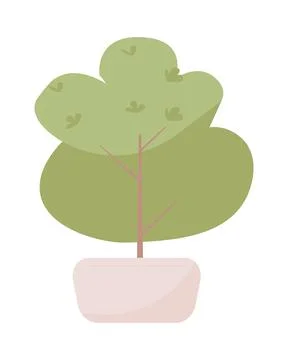 Decorative potted tree semi flat color vector object Stock Illustration